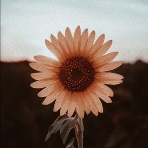 Meet your Posher, Steph